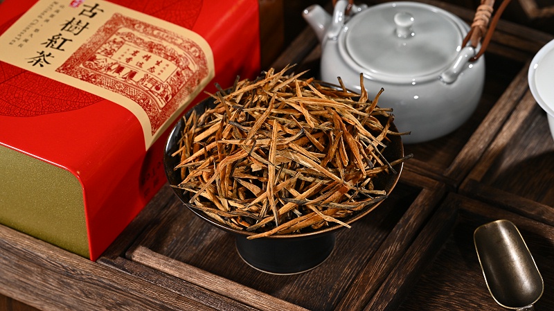 滇紅大金針