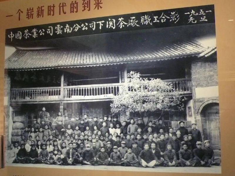 云南普洱茶發展的老照片