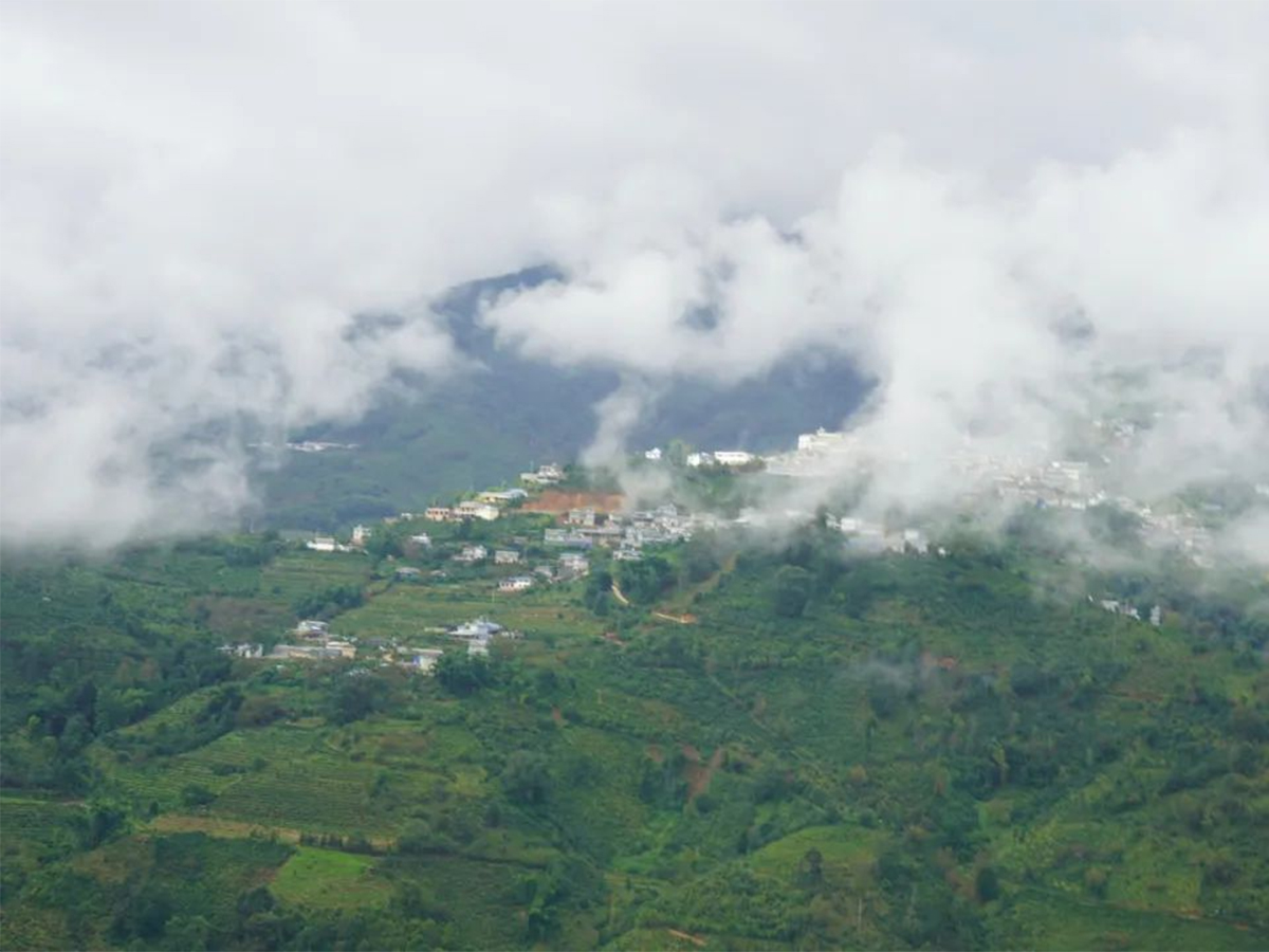 勐庫東半山