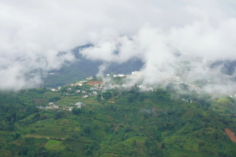 勐庫(kù)東半山