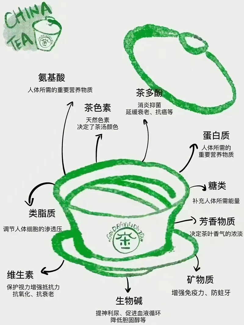 茶葉的內含物質