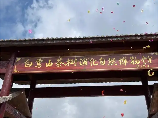 白鶯山茶樹(shù)演化自然博物館