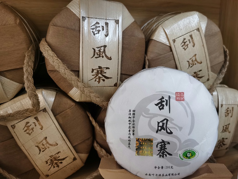 刮風寨普洱茶