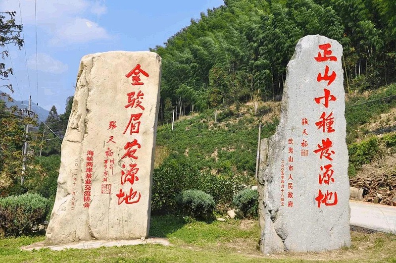 紅茶發源地
