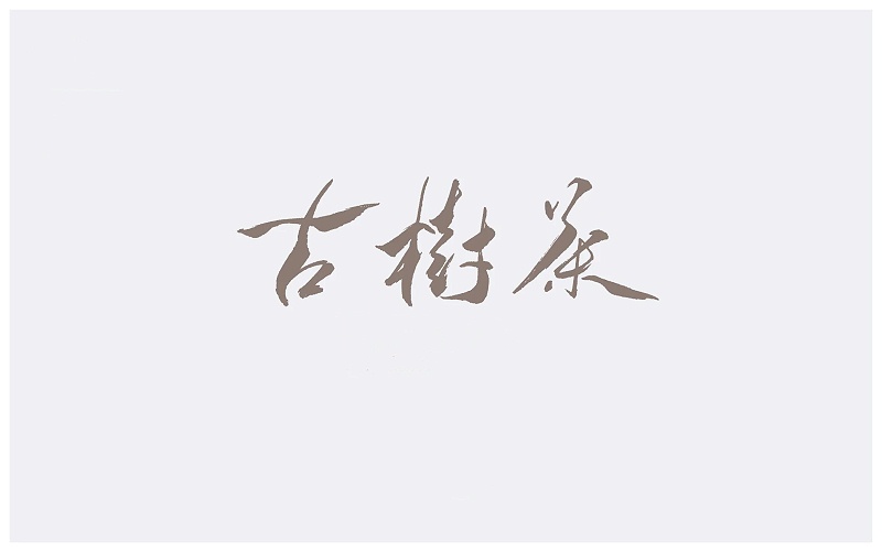 古樹茶