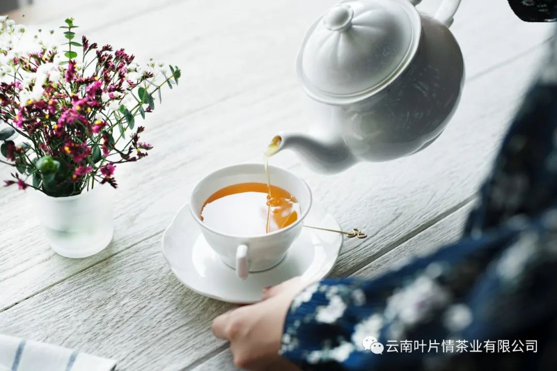 普洱茶的沖泡