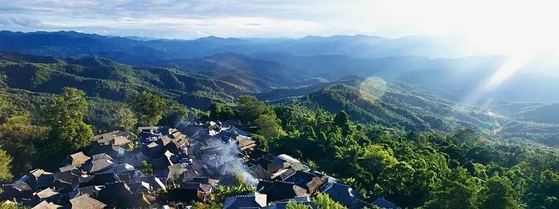 保山茶區