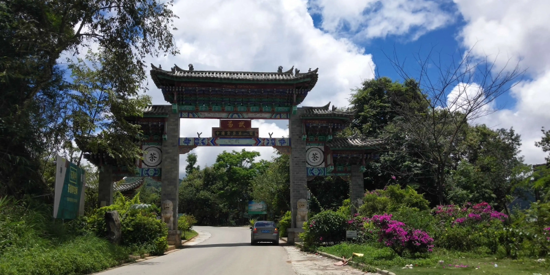 易武茶區