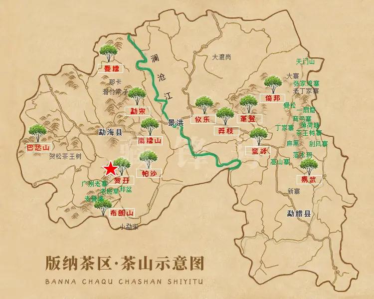 西雙版納茶區