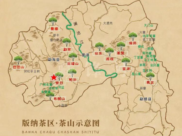 版納茶區