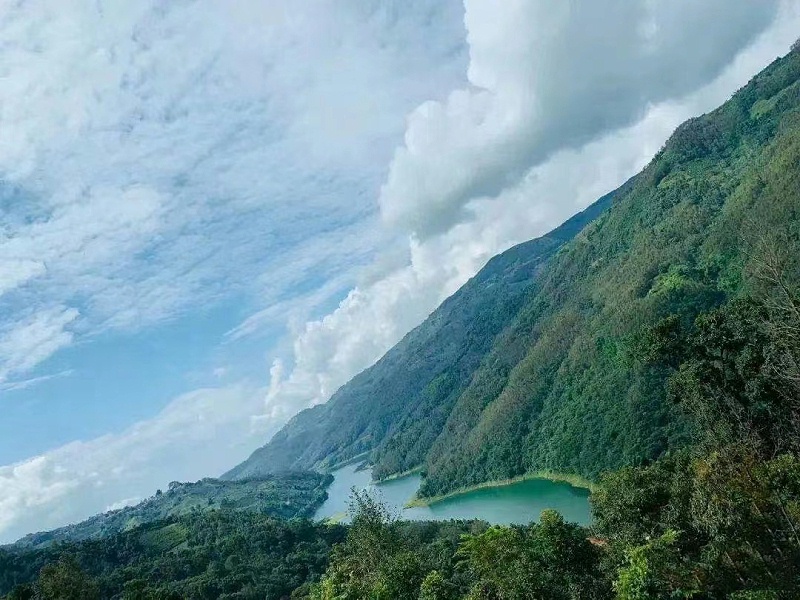 勐庫茶山