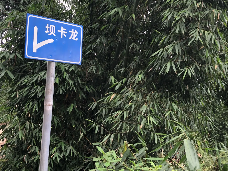 壩卡龍