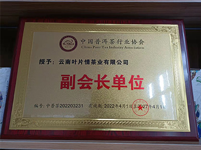 葉片情-普洱茶協會