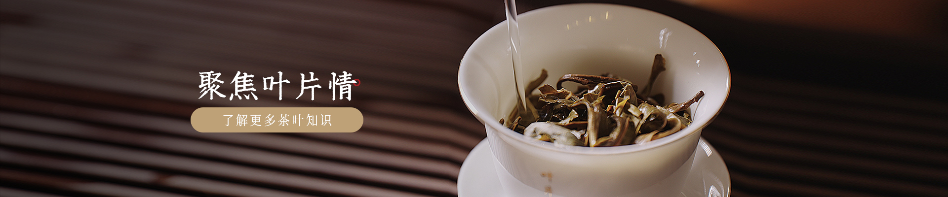 葉片情：聚焦葉片情，了解更多茶葉知識