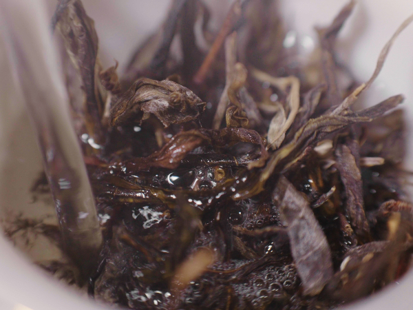 沖泡茶葉