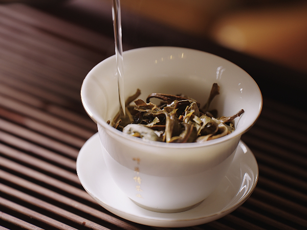 潤茶