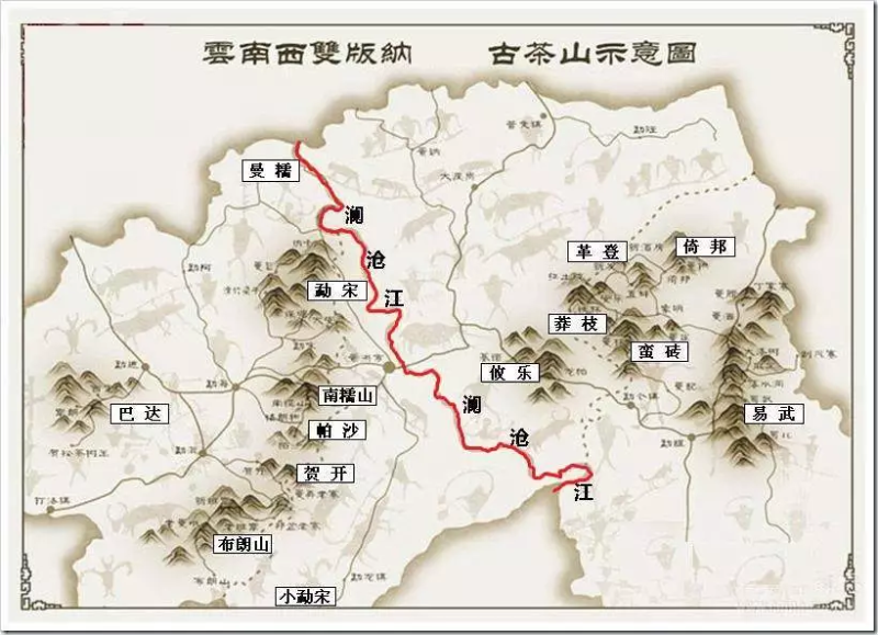 版納茶區