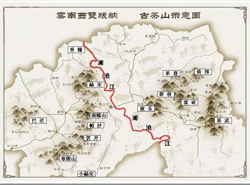 版納茶區