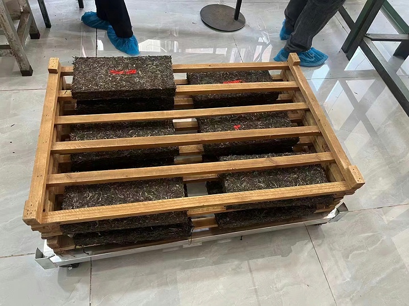 普洱茶的儲存